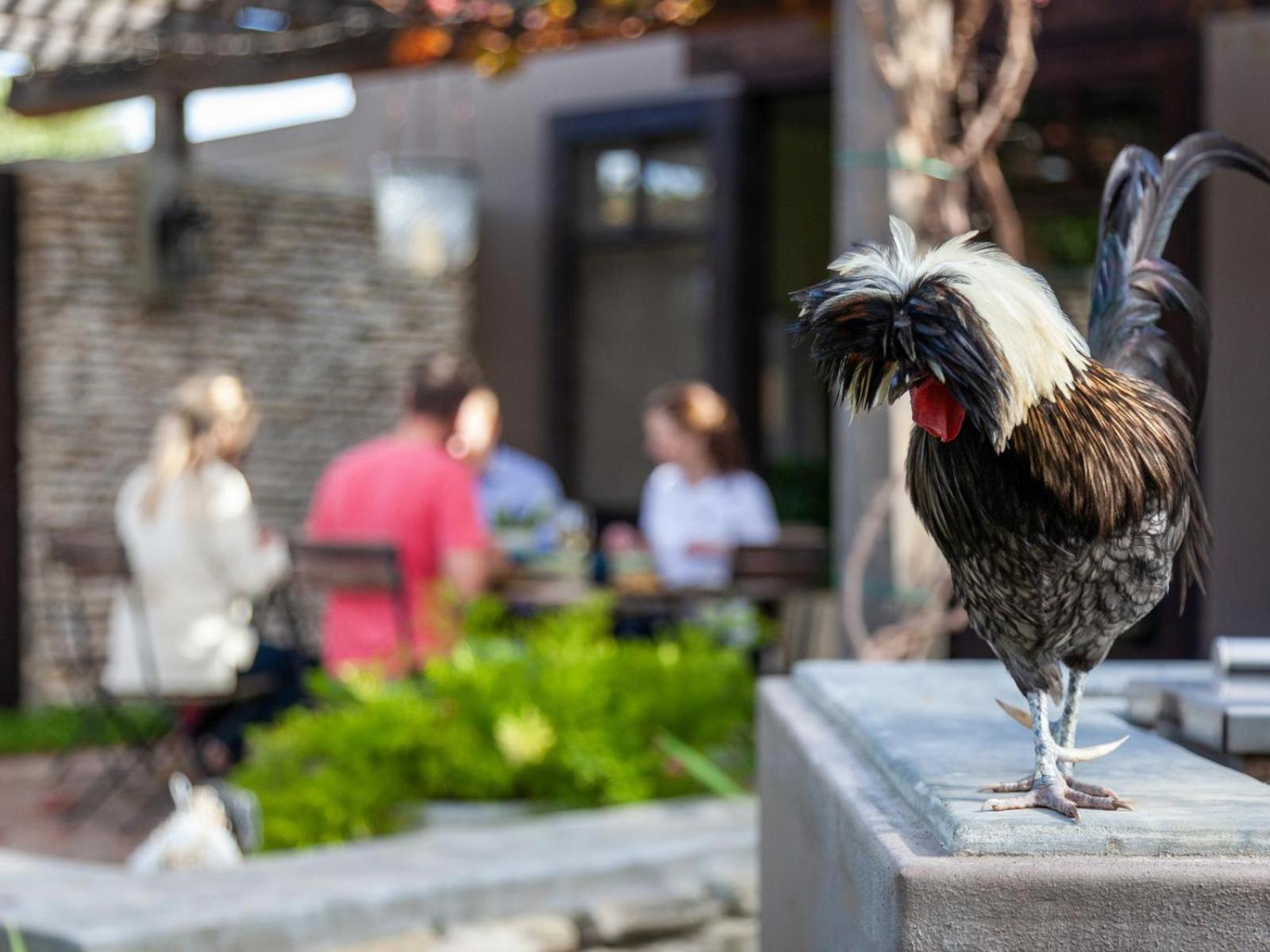 Rivergate Guest Farm Stanford Ngoại thất bức ảnh